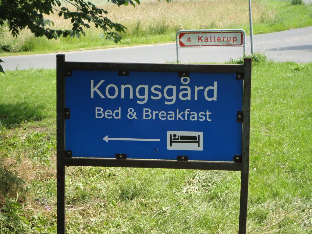 Kongsgard Bed & Breakfast Kalundborg Dış mekan fotoğraf