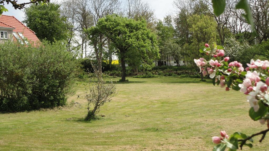 Kongsgard Bed & Breakfast Kalundborg Dış mekan fotoğraf